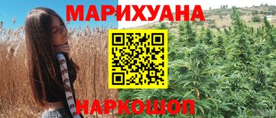 сатива Сланцы