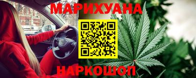 сатива Сланцы