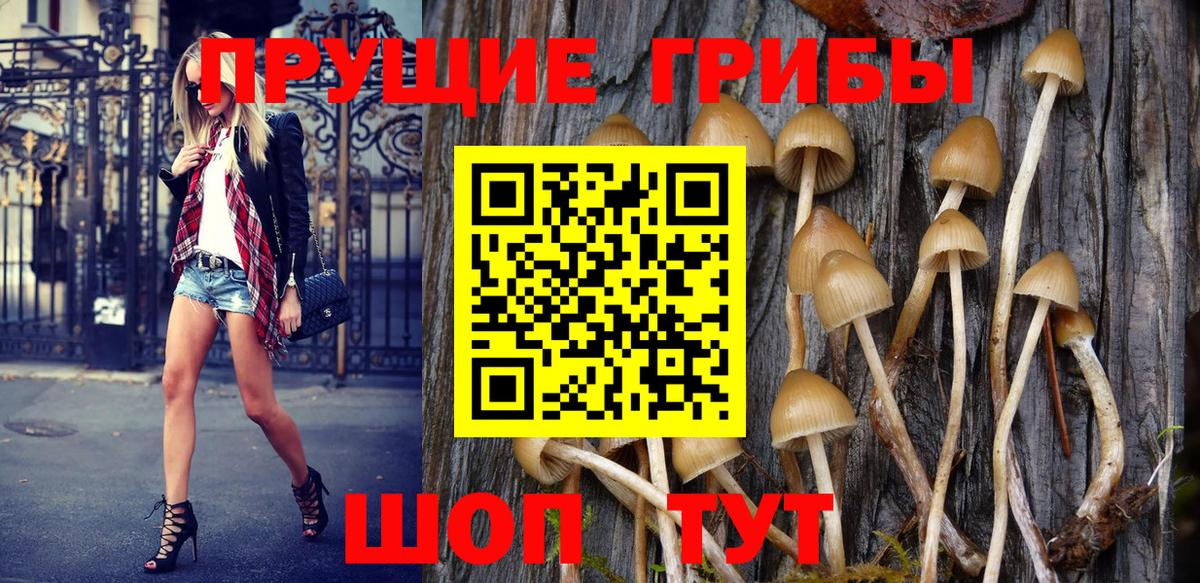 Отрадный  Галлюциногенные грибы GOLDEN TEACHER  Вход с VPN 